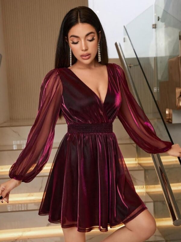 Contrast Mesh Lantern Sleeve Dress