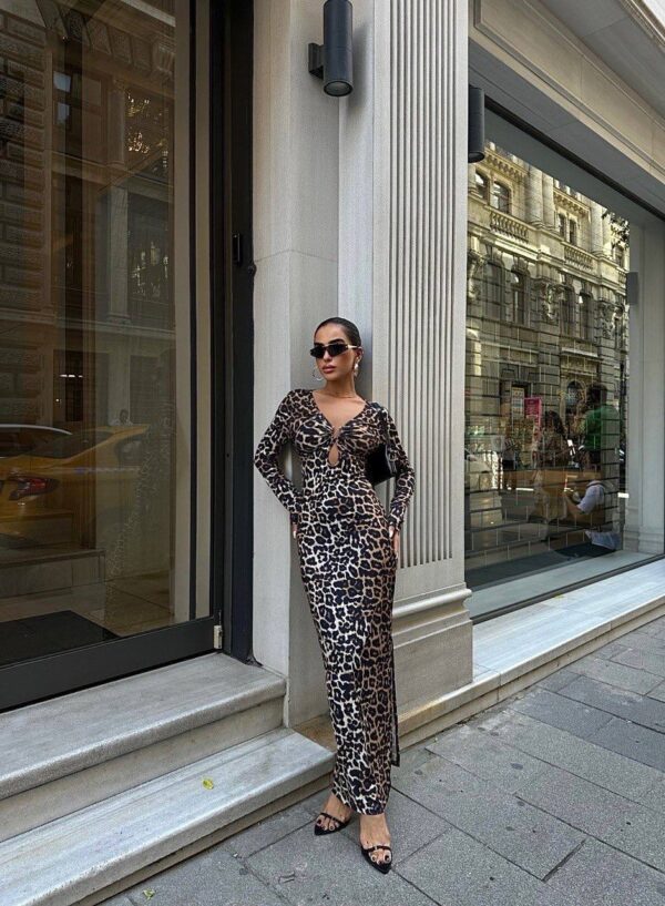 Leopard Print Maxi Bodycon Dress With Short Side Slit