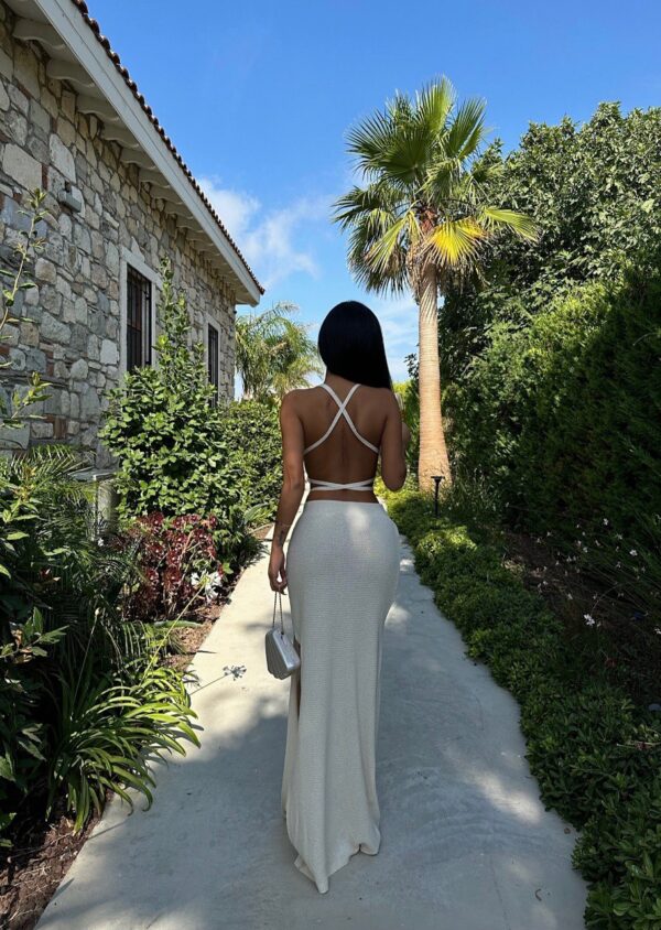 Waist Tie Crop Top and Maxi Skirt Set