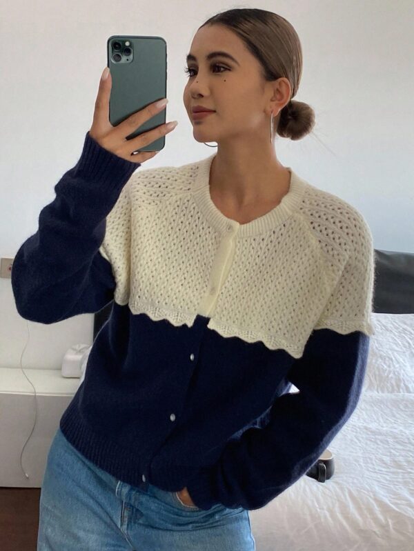 Contrast Color Ruffle Trim Sweater
