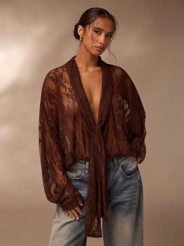 Sheer Ribbon Lace Deep V-Neck Top