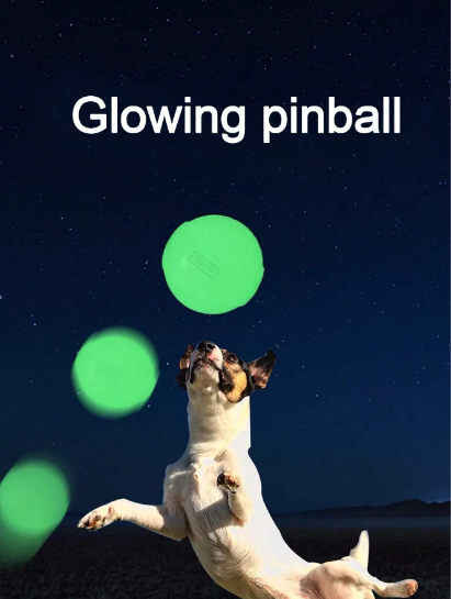 Glowy Bouncy Pet Ball