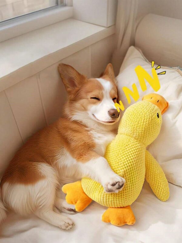 Duck Plush Dog Toy